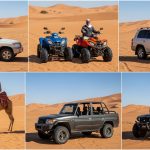 Whisk_2b3f0c5aa87625c8c9f455f5ac476e3adr