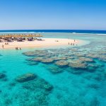 Whisk_c776546a3452e1ebfe64a68d8bf9e5ffdr